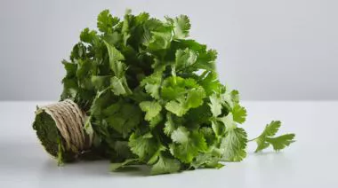 garnishing-instructions-image